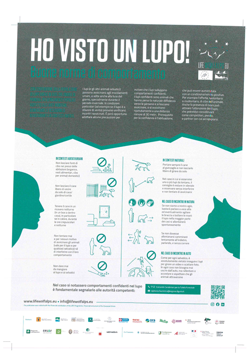 Ho visto un lupo_Buone norme di comportamento